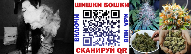 продажа наркотиков  Пересвет  Бошки Шишки семена 